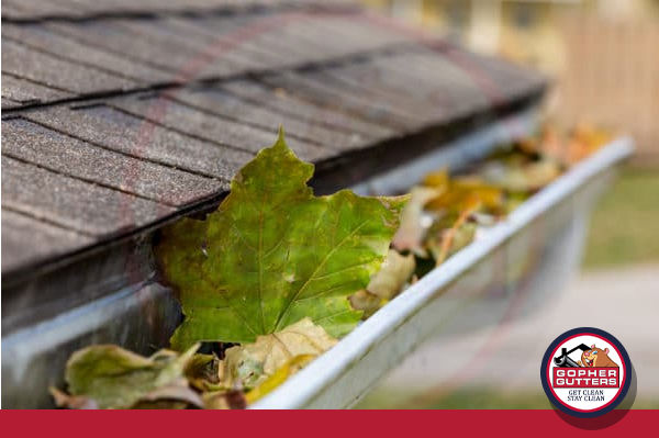 how-often-should-i-clean-my-home-gutters