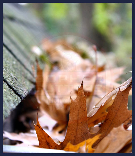 clogged-home-gutter-system